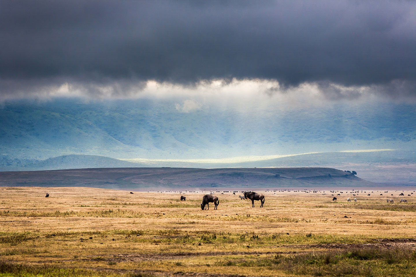 Ngorongoro crater, Tanzania Dark clouds over the plains of the Ngorongoro crater, Tanzania