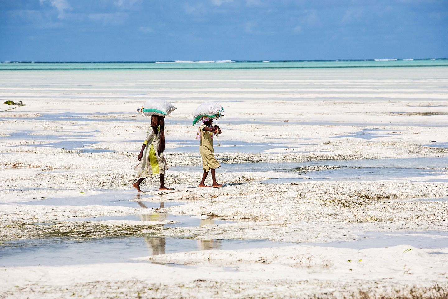 Paje, Zanzibar Women working on the beach of Paje in Zanzibar, Tanzania