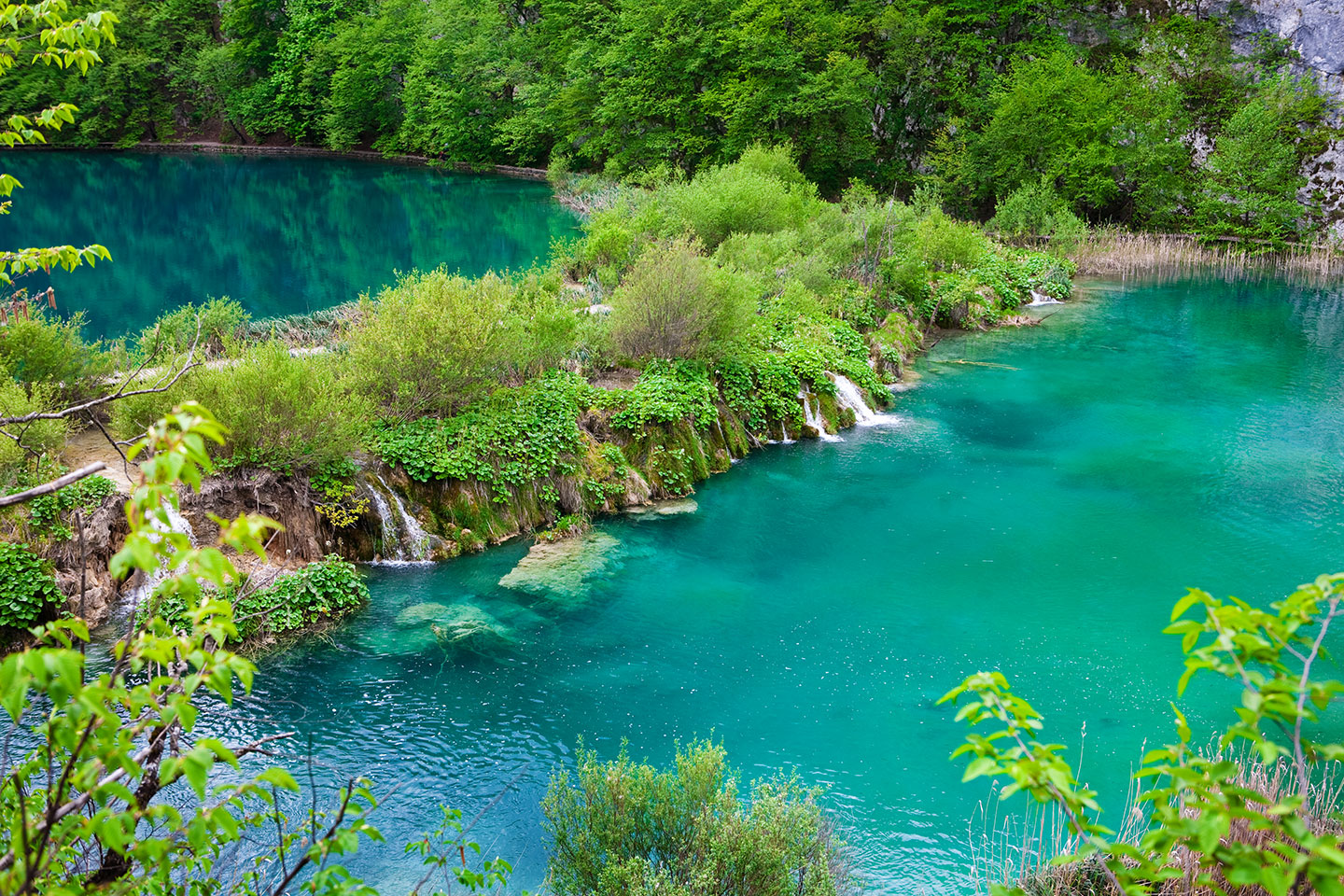 Plitvice Lakes National Park, Croatia Turquiose pools in the Plitvice Lakes National Park, Croatia
