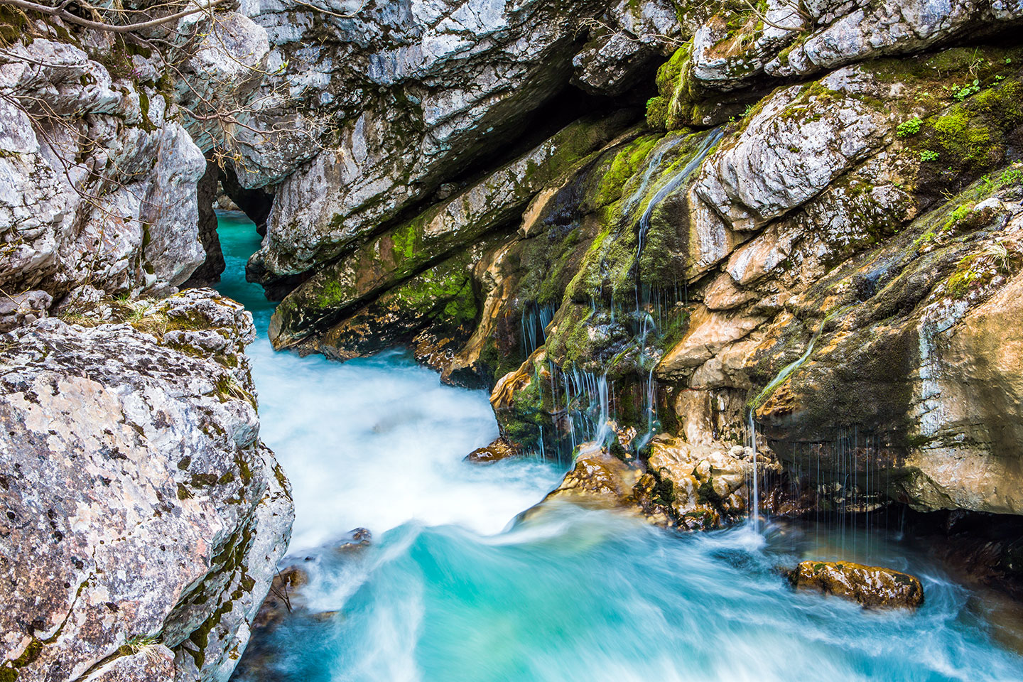 Soča, Slovenia Water flowing through a canyon in the Soča valley, Slovenia