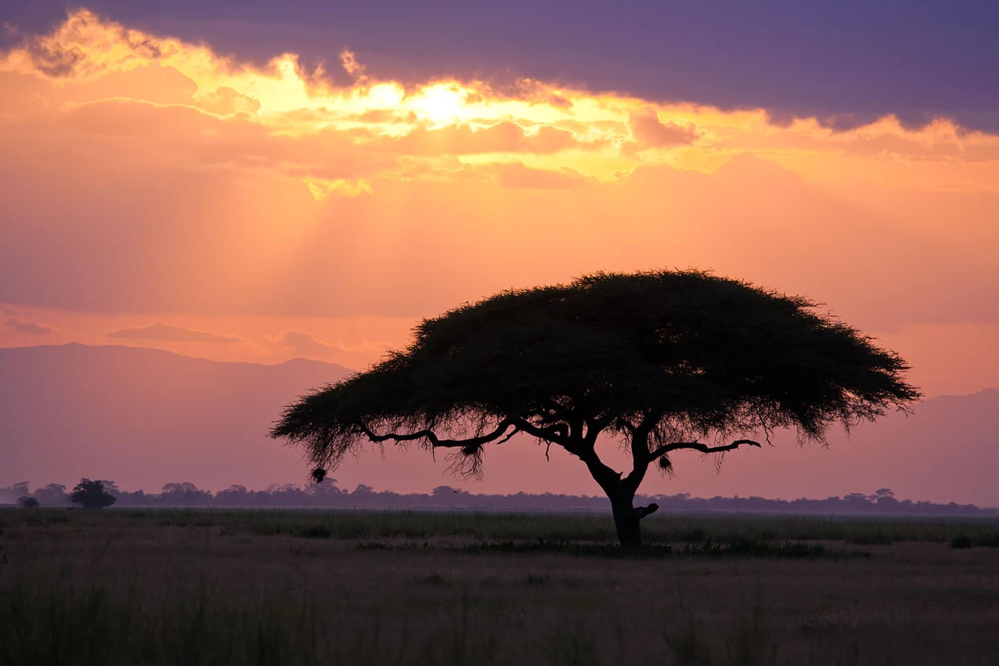 Tsavo, Kenya Sunset over the savanne in Africa