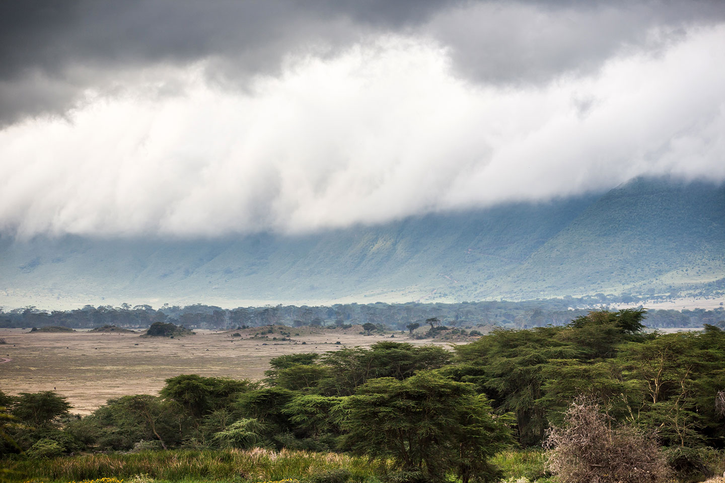 Ngorongoro crater, Tanzania travel photography in the Ngorongoro crater, Tanzania