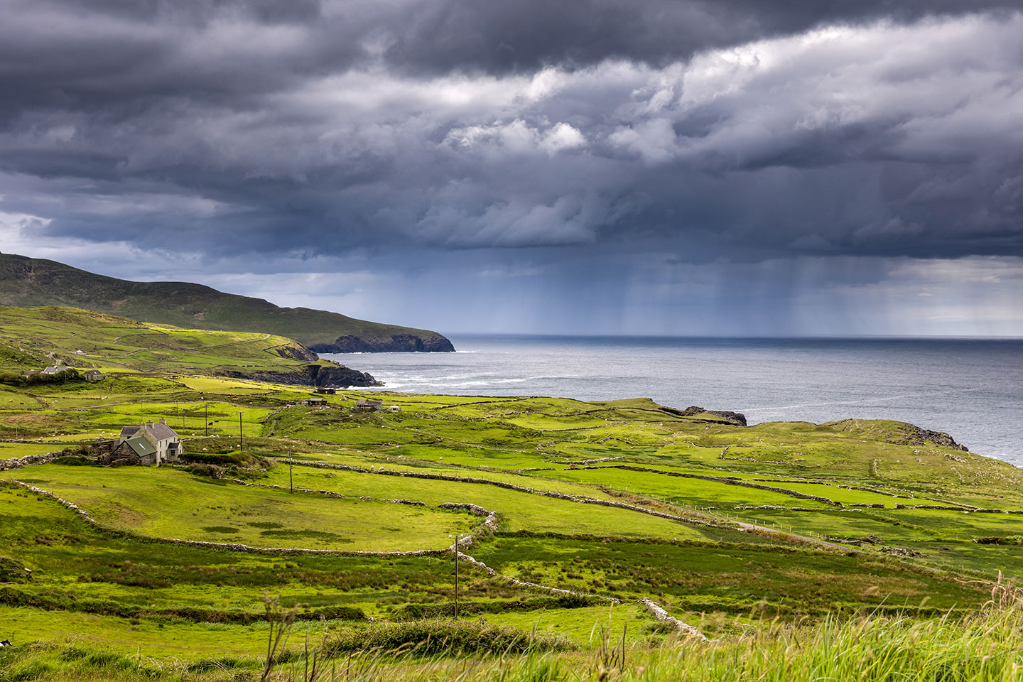 Green fields of the Dingle peninsula, Ireland