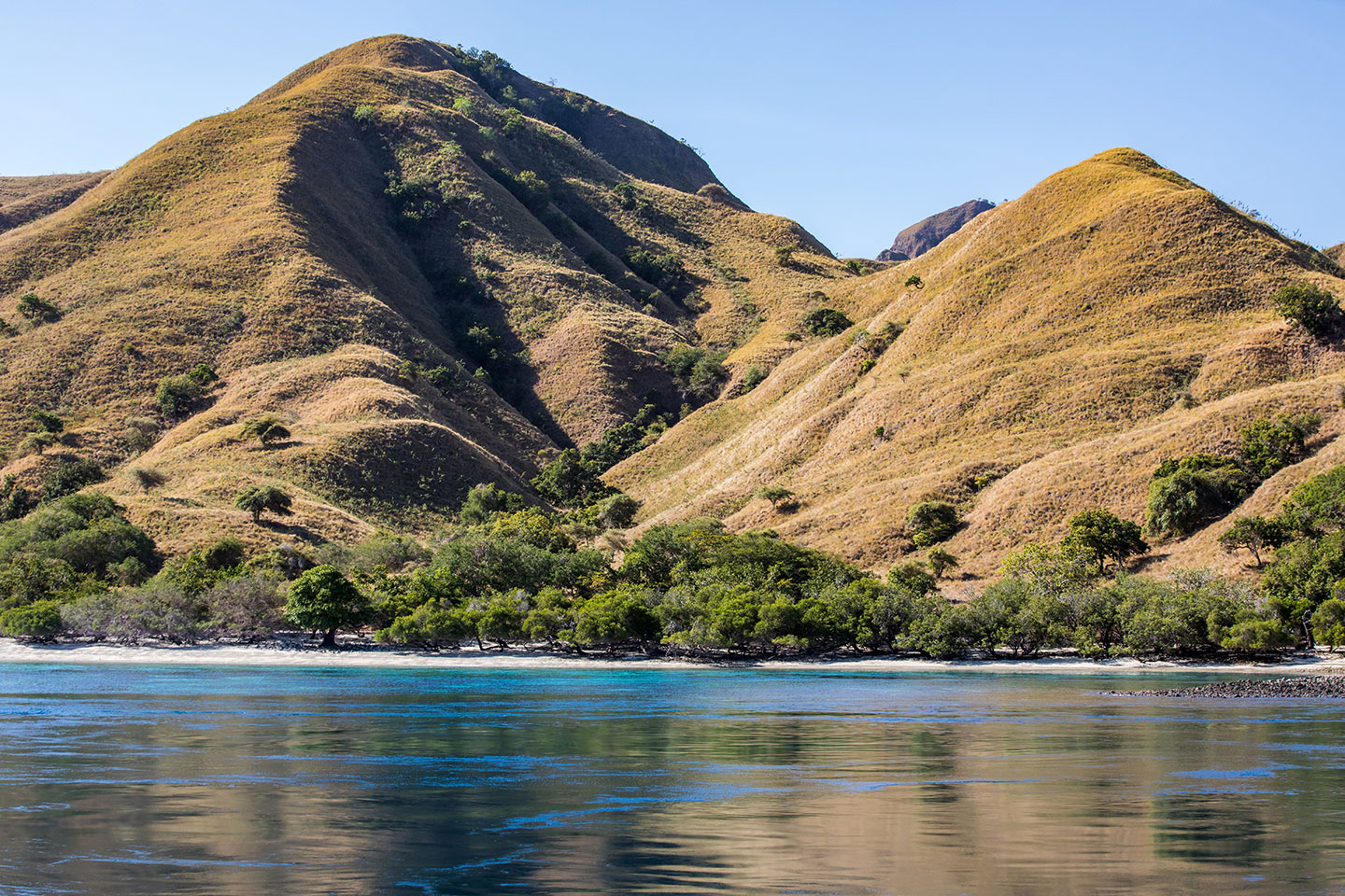 Komodo island hills