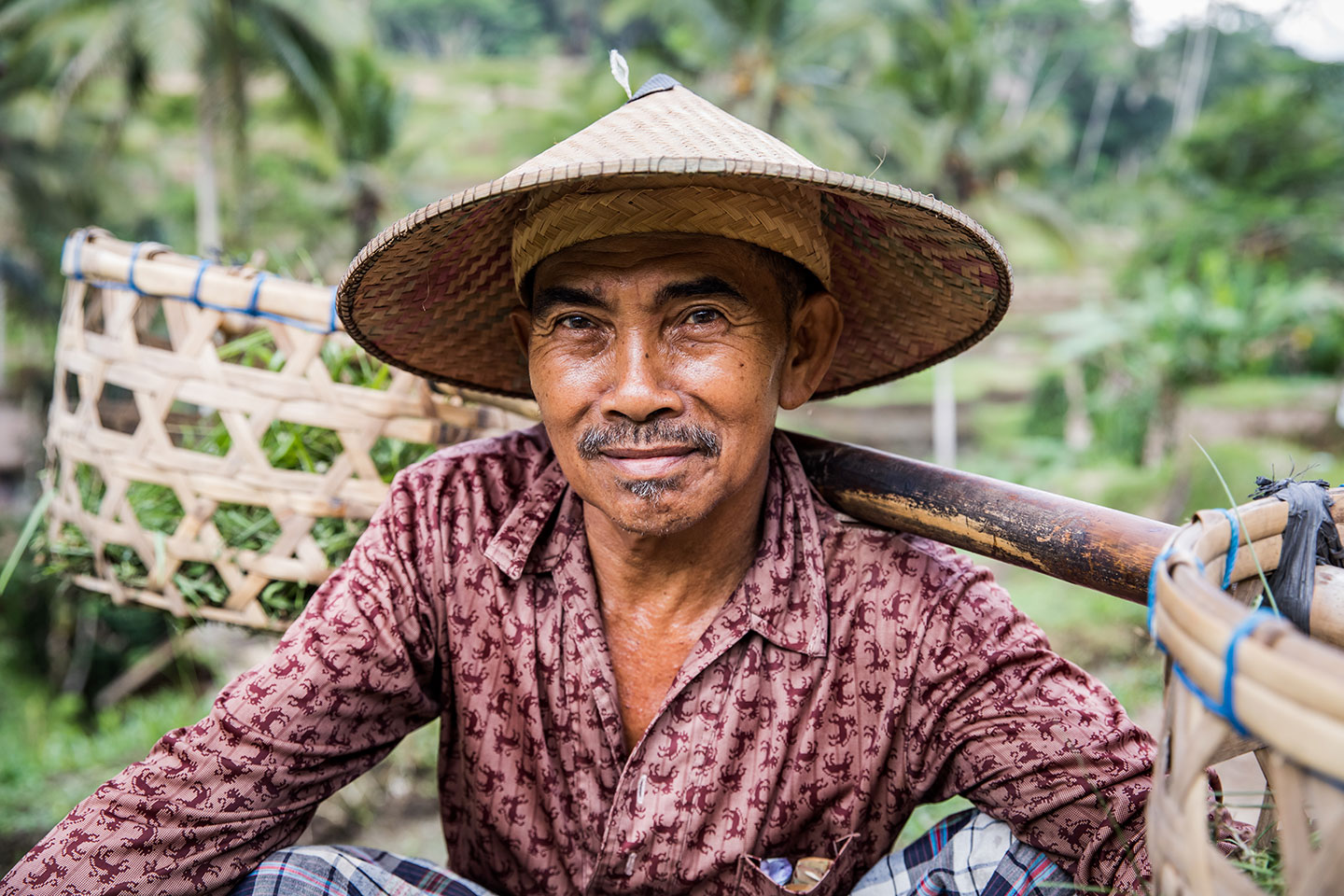 Rice harvest farmer in Tegallalang, Bali