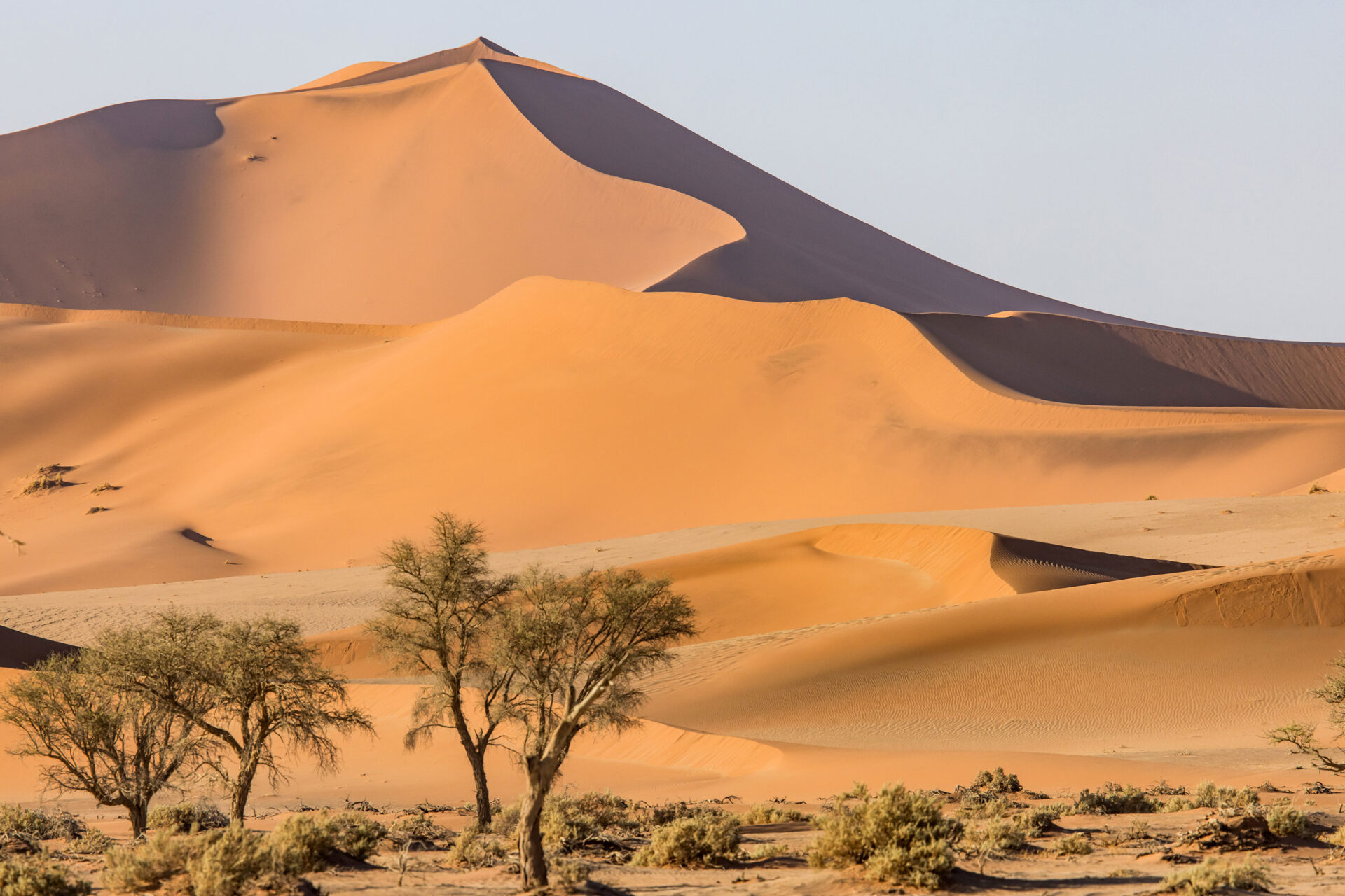 Big Mamma sand dunes of Sossusvlei, Namibia