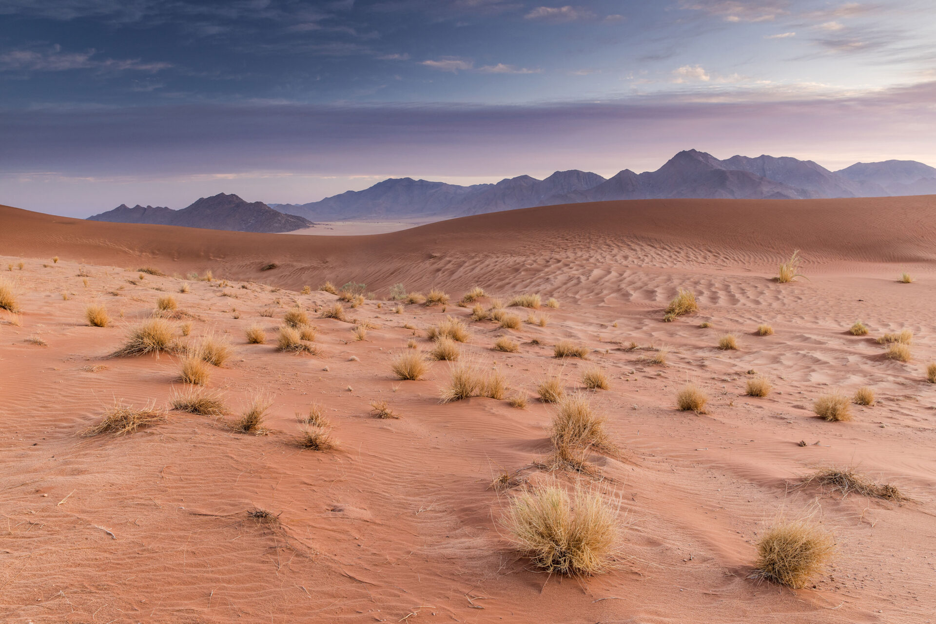 Pink sky over the sand dunes of the Namib Desert, Namibia
