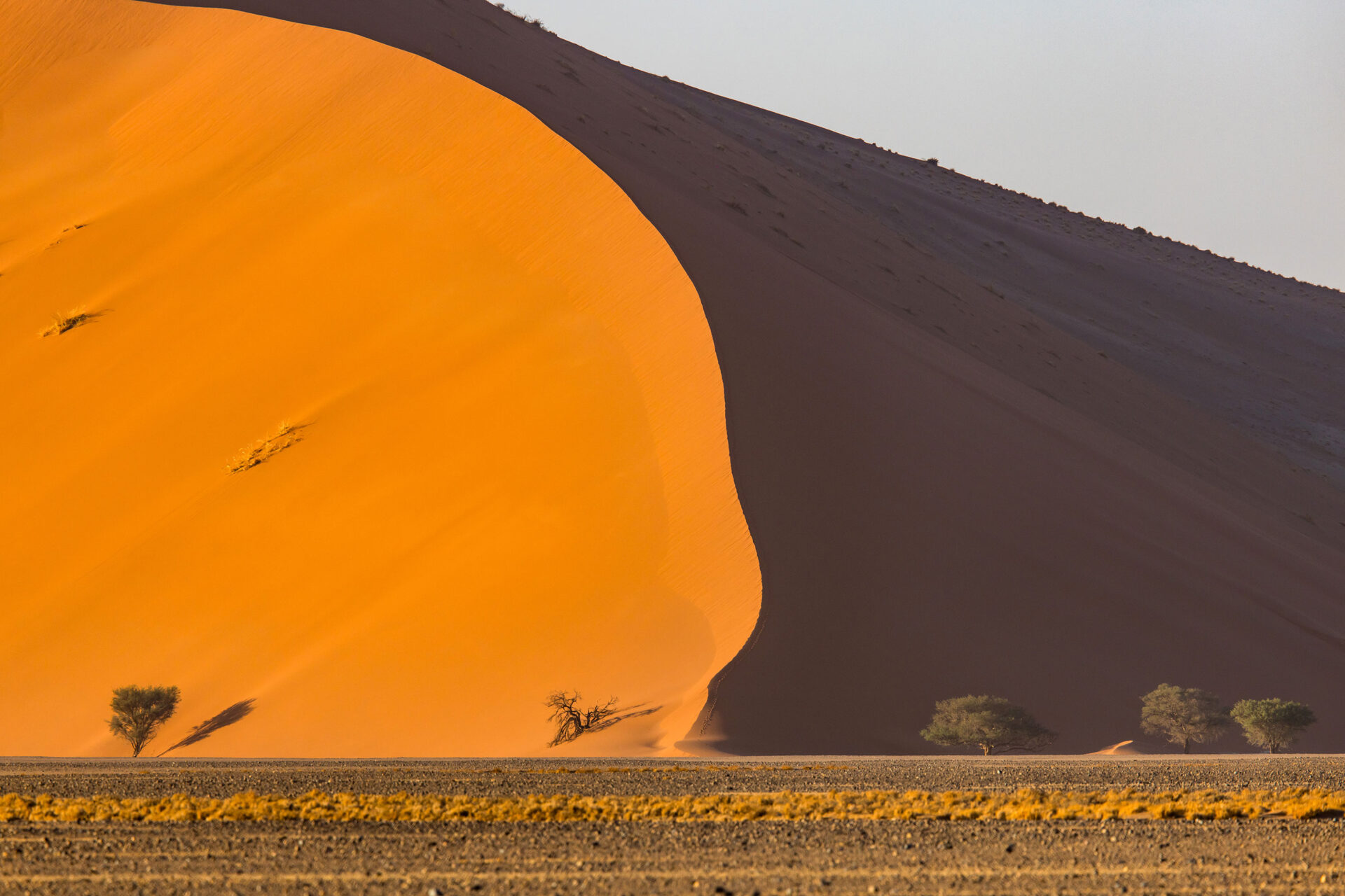 Dune 45 at sunset in the Sossusvlei, Namibia