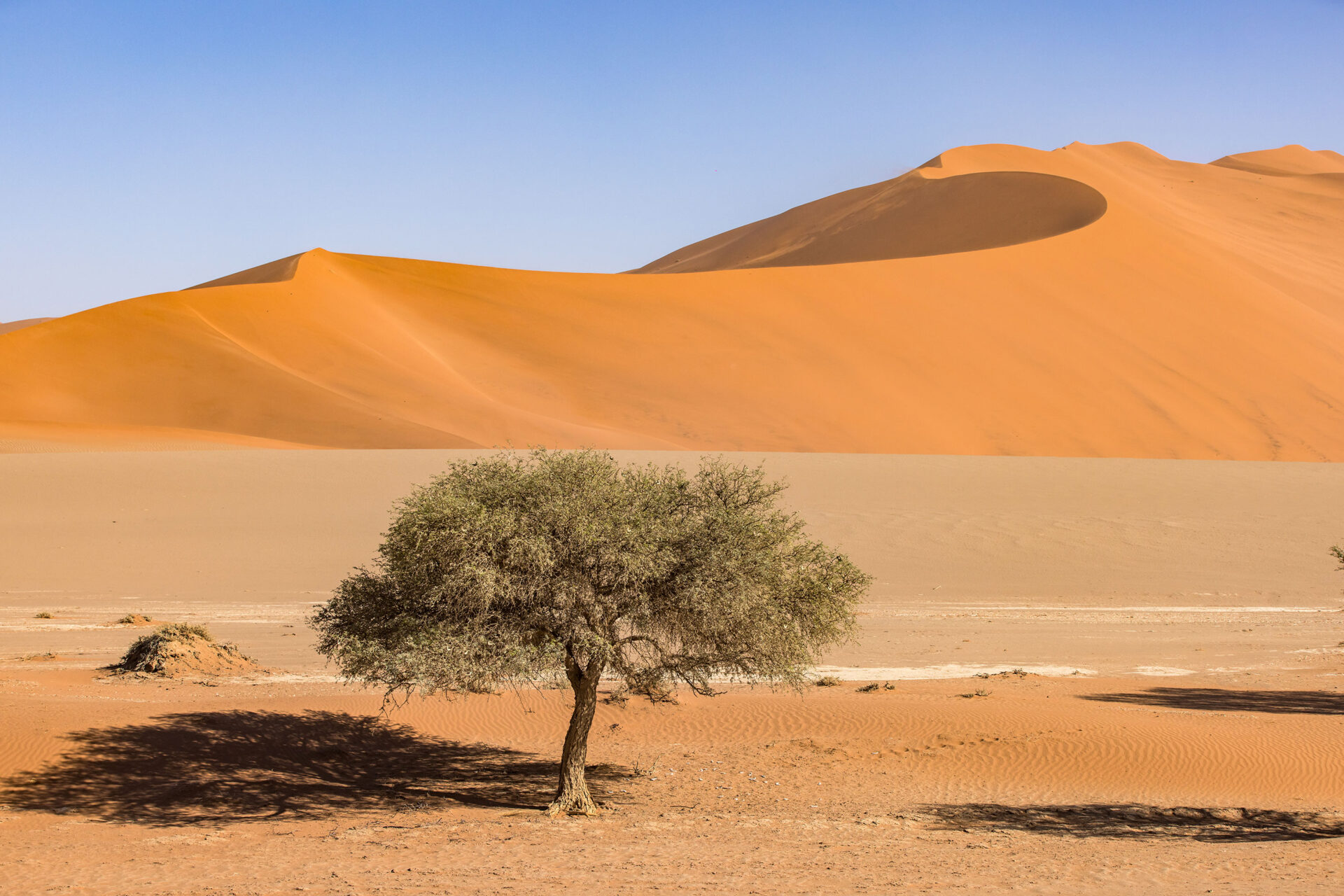 Travel photography Namibia at the Sossusvlei, Namibia