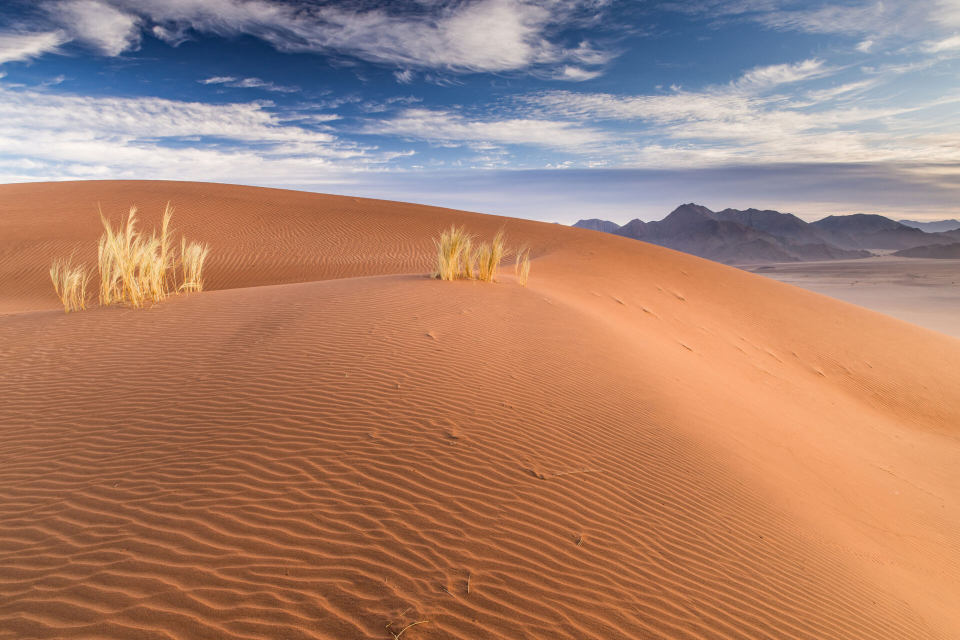 Sunrise over the sand dunes of the Namib Desert, Namibia