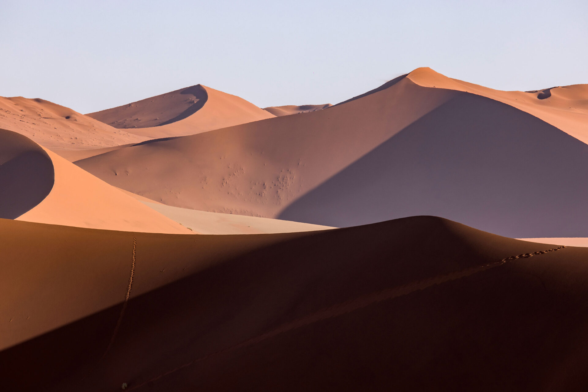 Oryx footprints in the tall sand dunes of Sossusvlei, Namibia