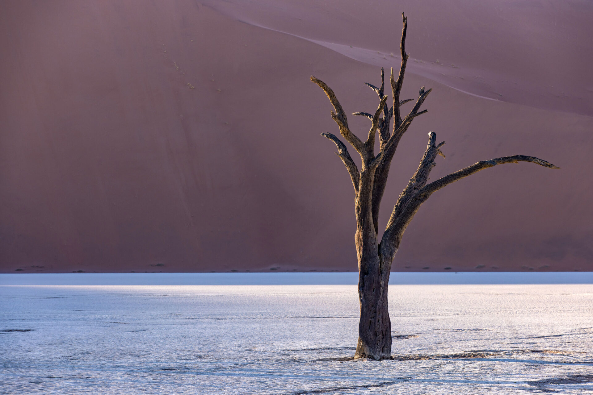Soft colors of sunrise in the Deadvlei, Namibia