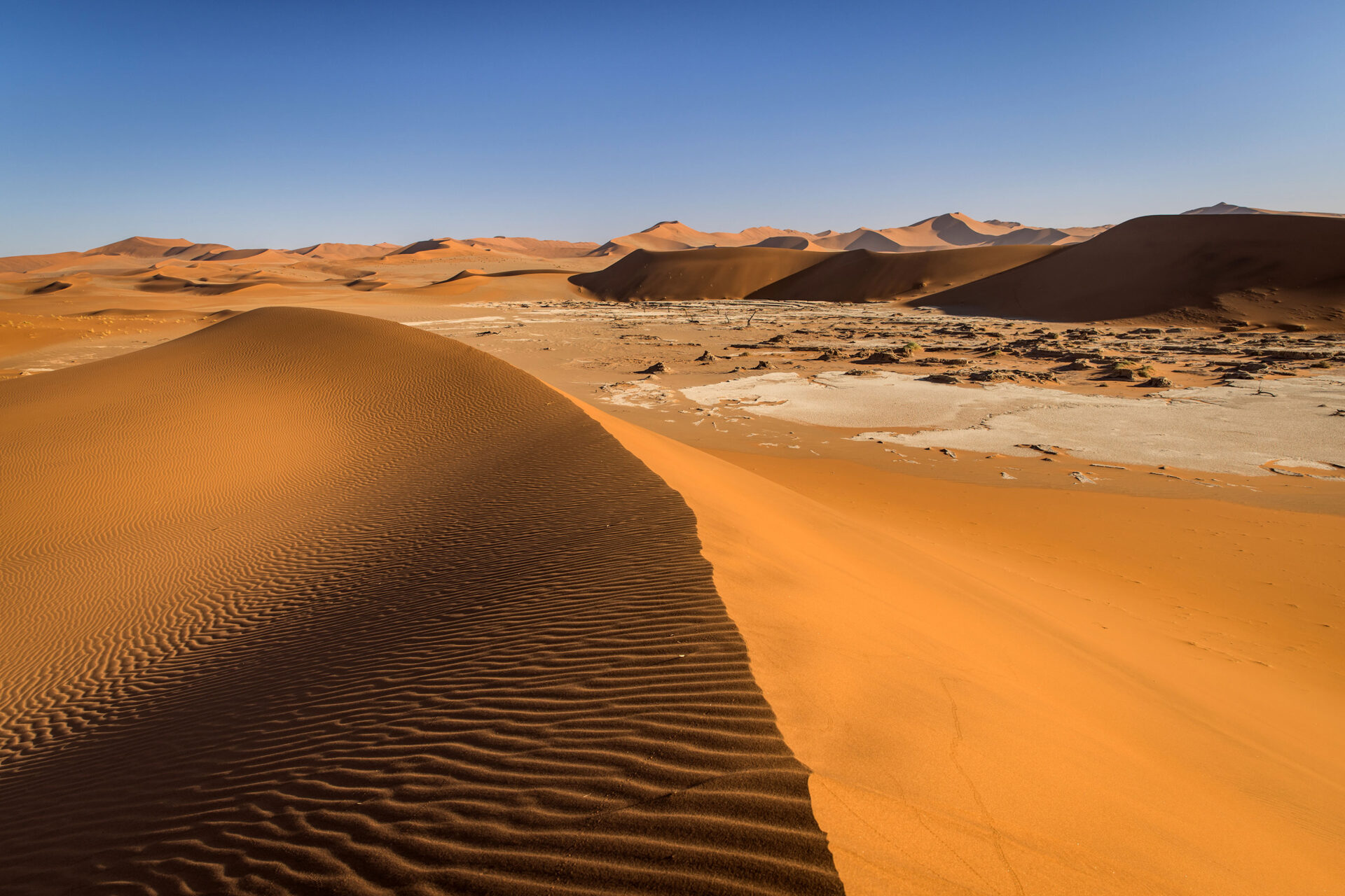 Sossusvlei sand dunes with the Deadvlei salt pan in the back