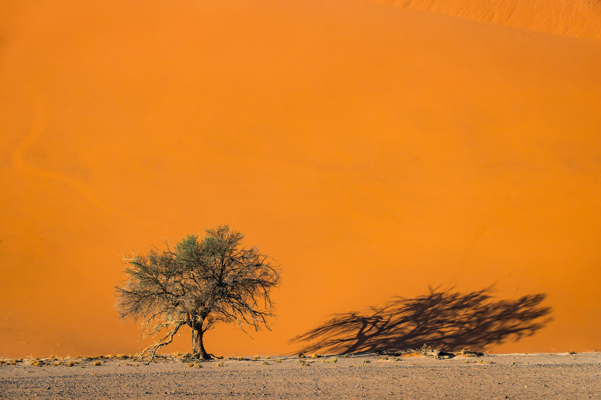 Giant sand dunes of Sossusvlei, Namibia