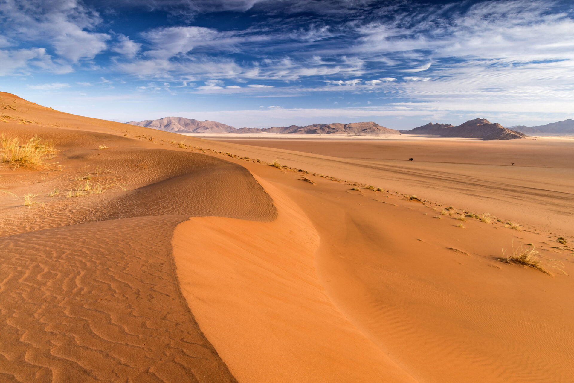 Golden sand dunes of the Namib Desert at sunrise