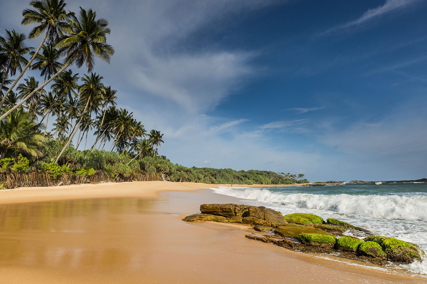 Tangalle, Sri Lanka Sandy beach with palmtrees in Tangalle, Sri Lanka