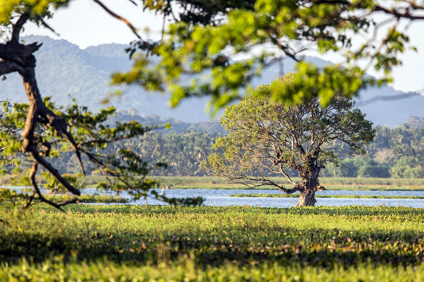 Tissamaharama, Sri Lanka Lake near Tissamaharama, Sri Lanka