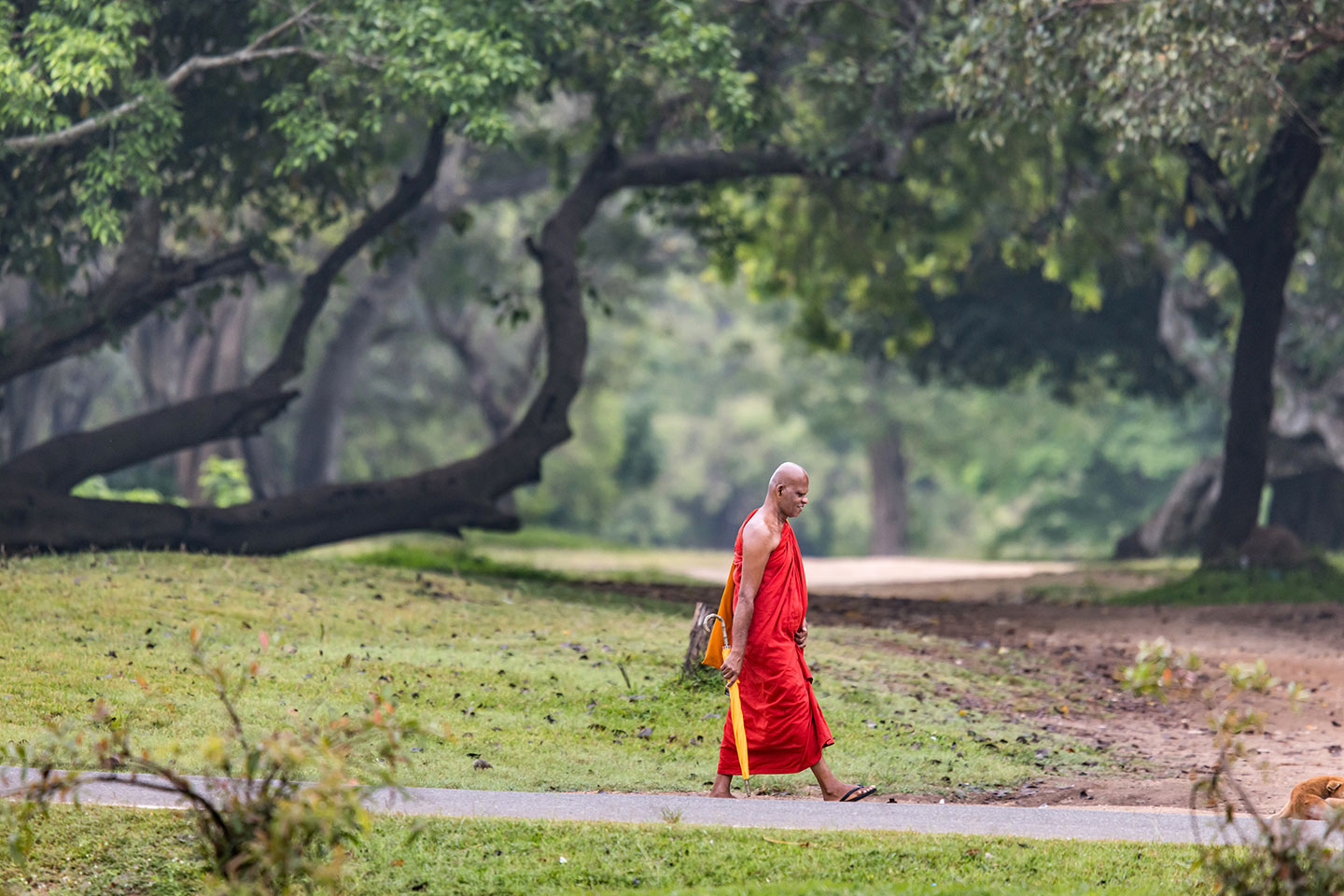 Anuradhapura, Sri Lanka Monk in red gown walking around Anuradhapura, Sri Lanka