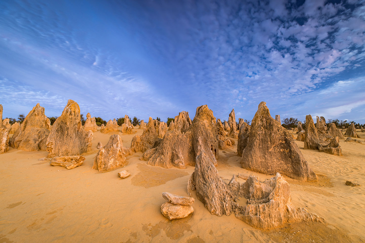 Pinnacles desert in Western Australia