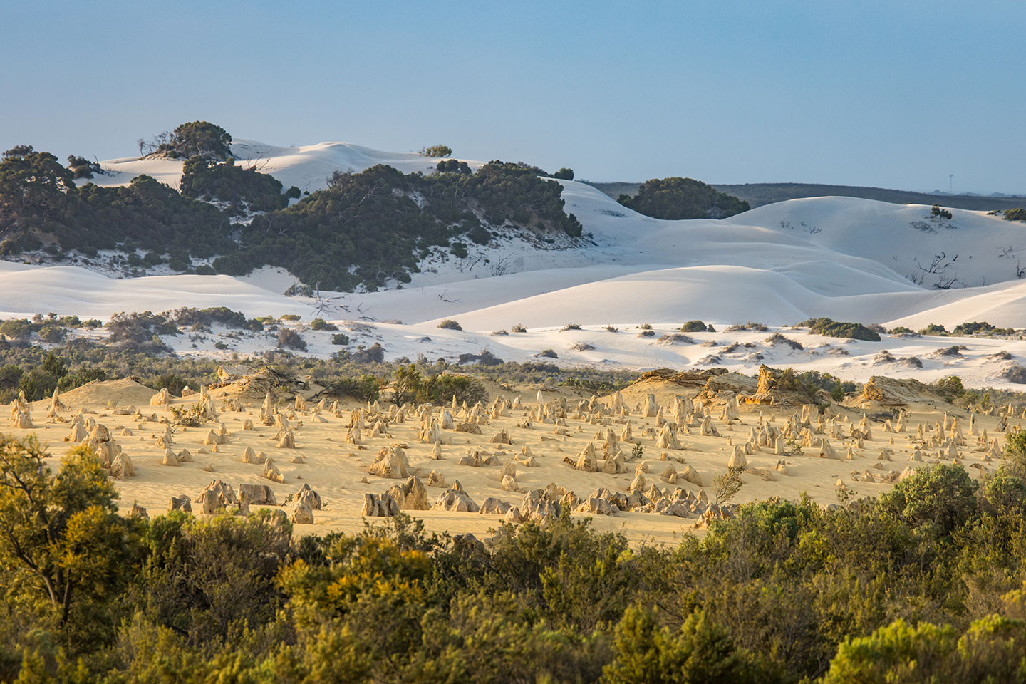 White sand dunes near the Pinnacles Desert in Cervantes, Western Australia