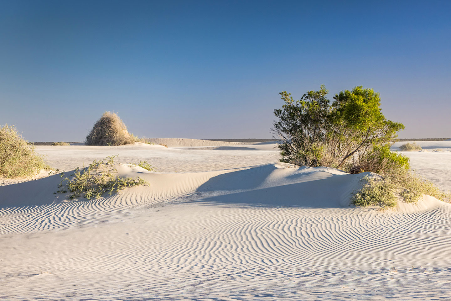 White sand dunes of Mungo National Park, NSW