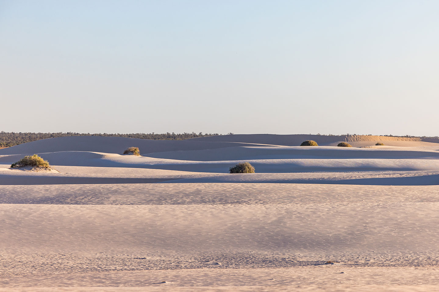 Endless white sand dunes in Mungo National Park