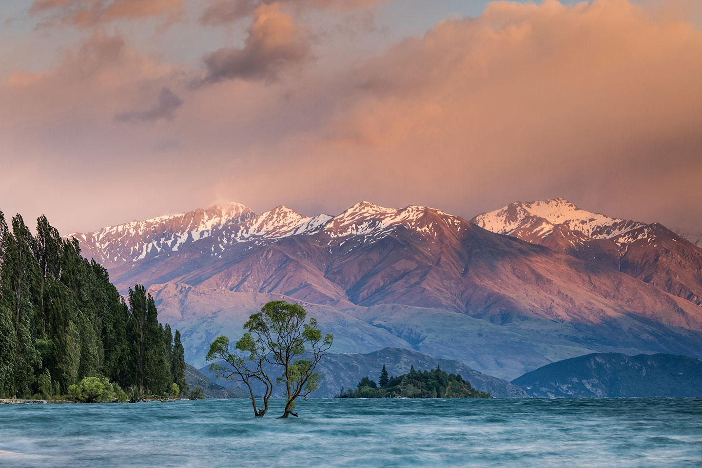 Wānaka Sunrise over that Wānaka tree