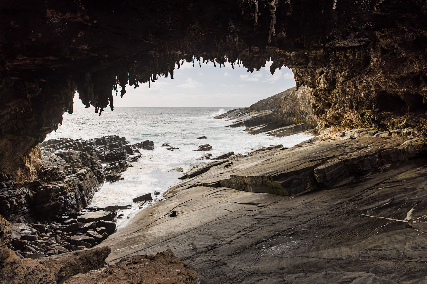 Admiral's Arch on Kangaroo Island
