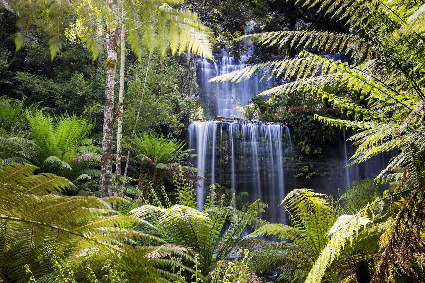 Mount Field National Park, Tasmania Russel falls in Tasmania's Mount Field National Park