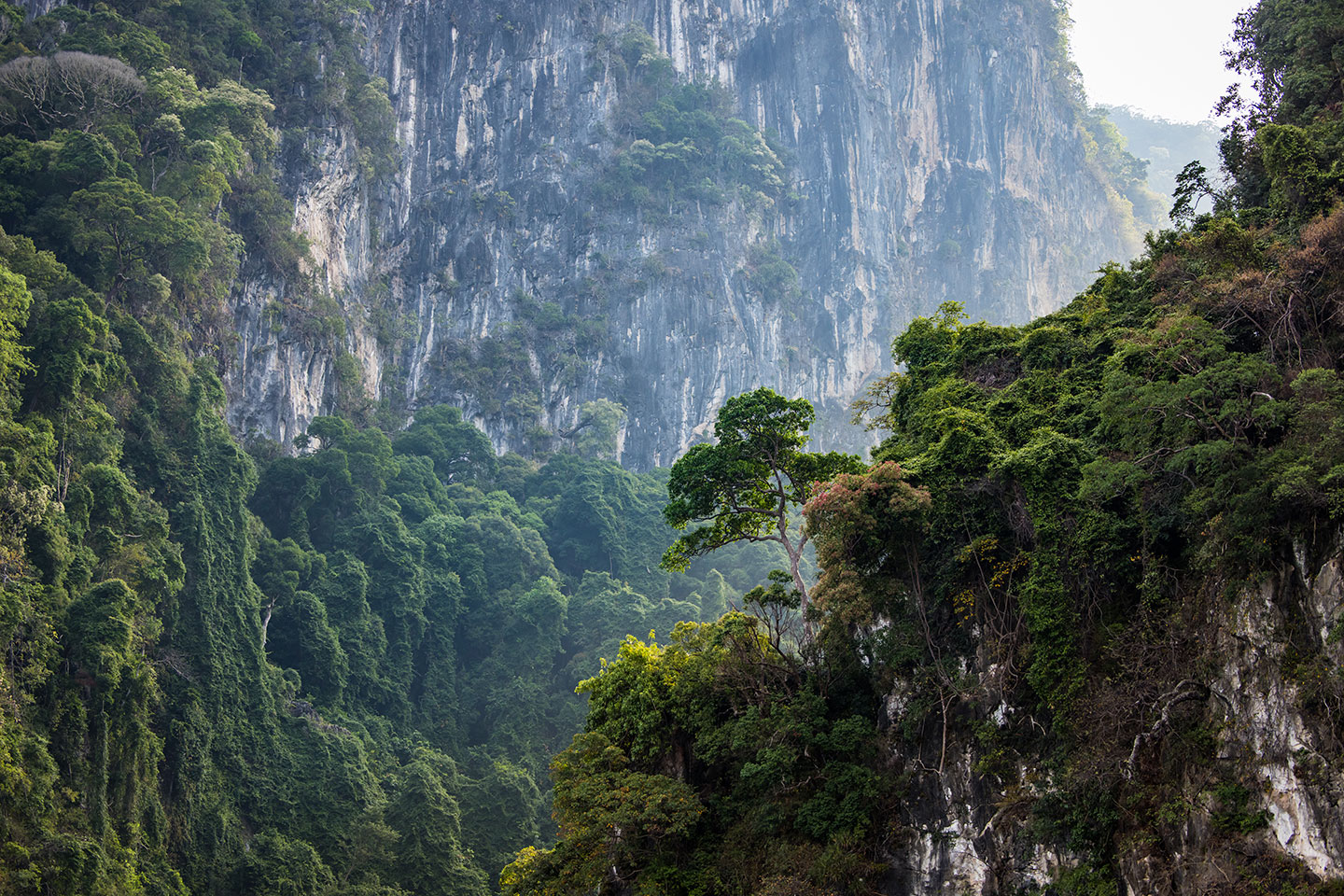 Khao Sok Khao Sok National Park in Thailand