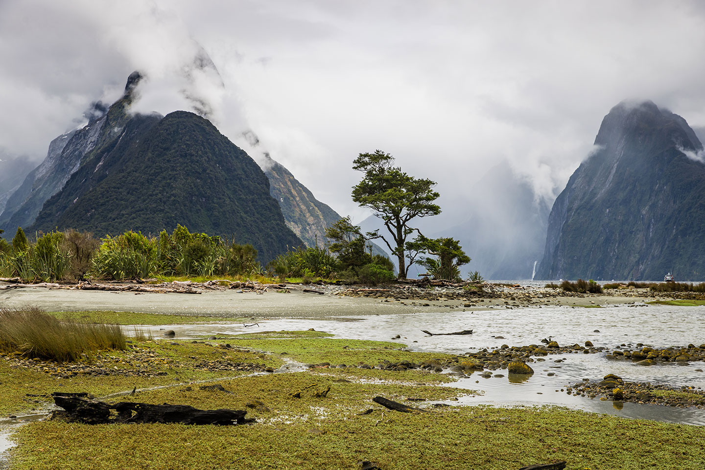 Milford Sound Milford sound on a cloudy day
