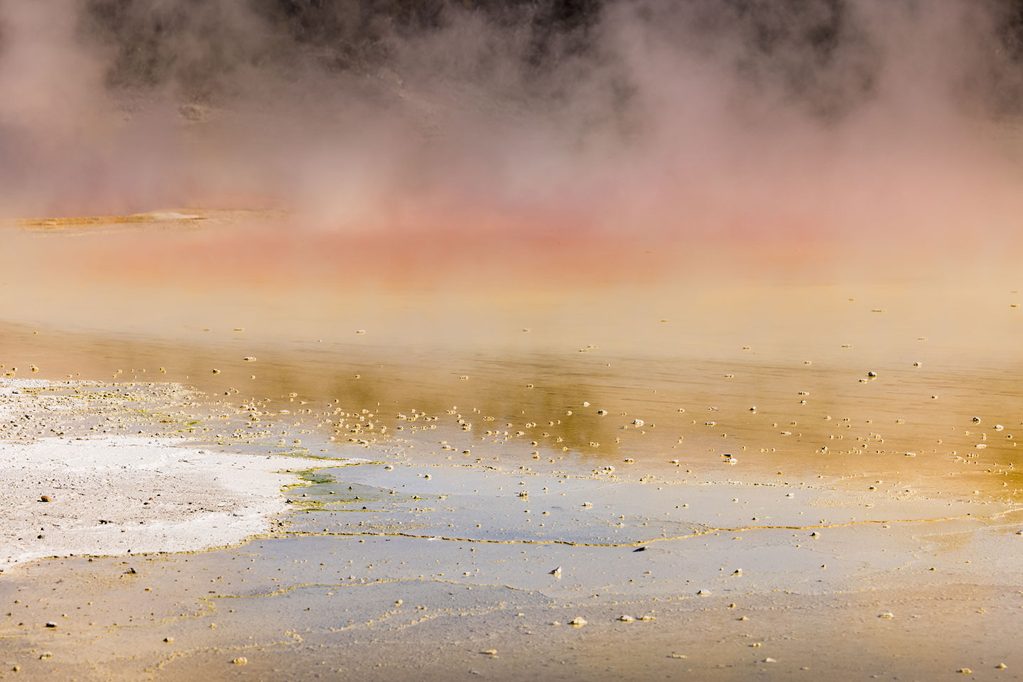 Wai-O-Tapu Boiling lake at Wai-O-Tapu, New Zealand