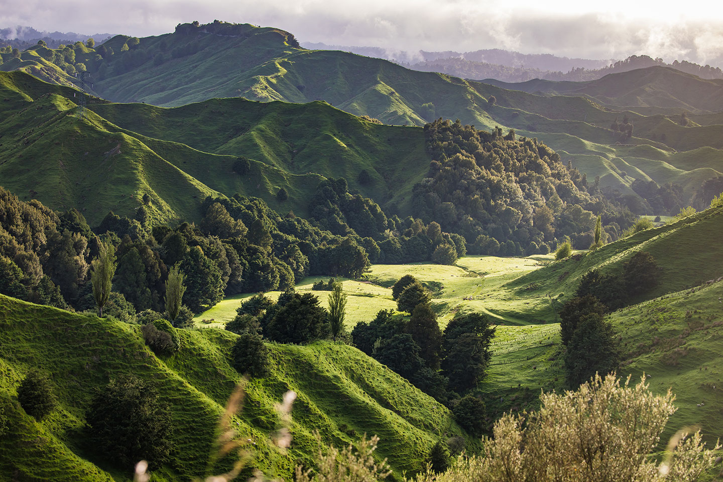 Forgotten world highway Sunrise over the saddle at the forgotten world highway, New Zealand