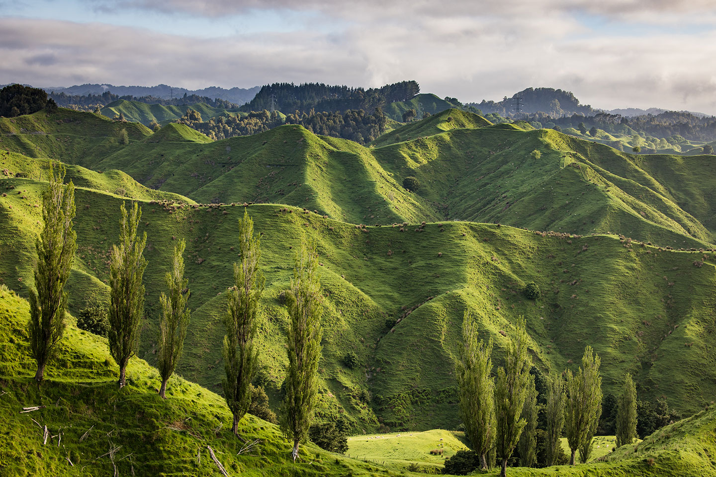 Forgotten world highway Rolling green hills near the forgotten world highway