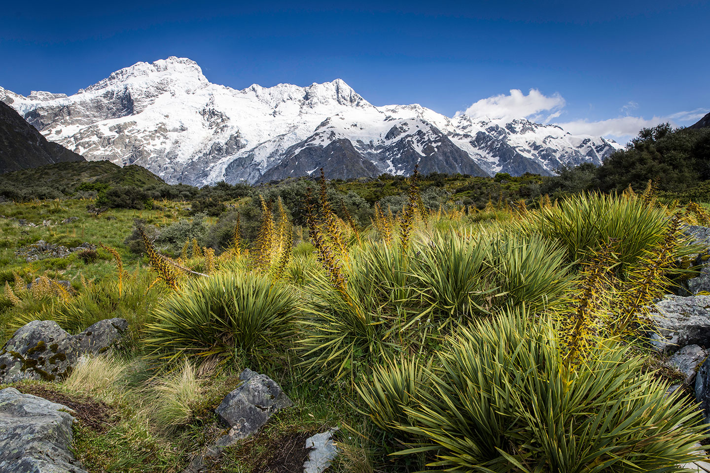 Mount Cook National Parj Mount Cook National Park on a clear day