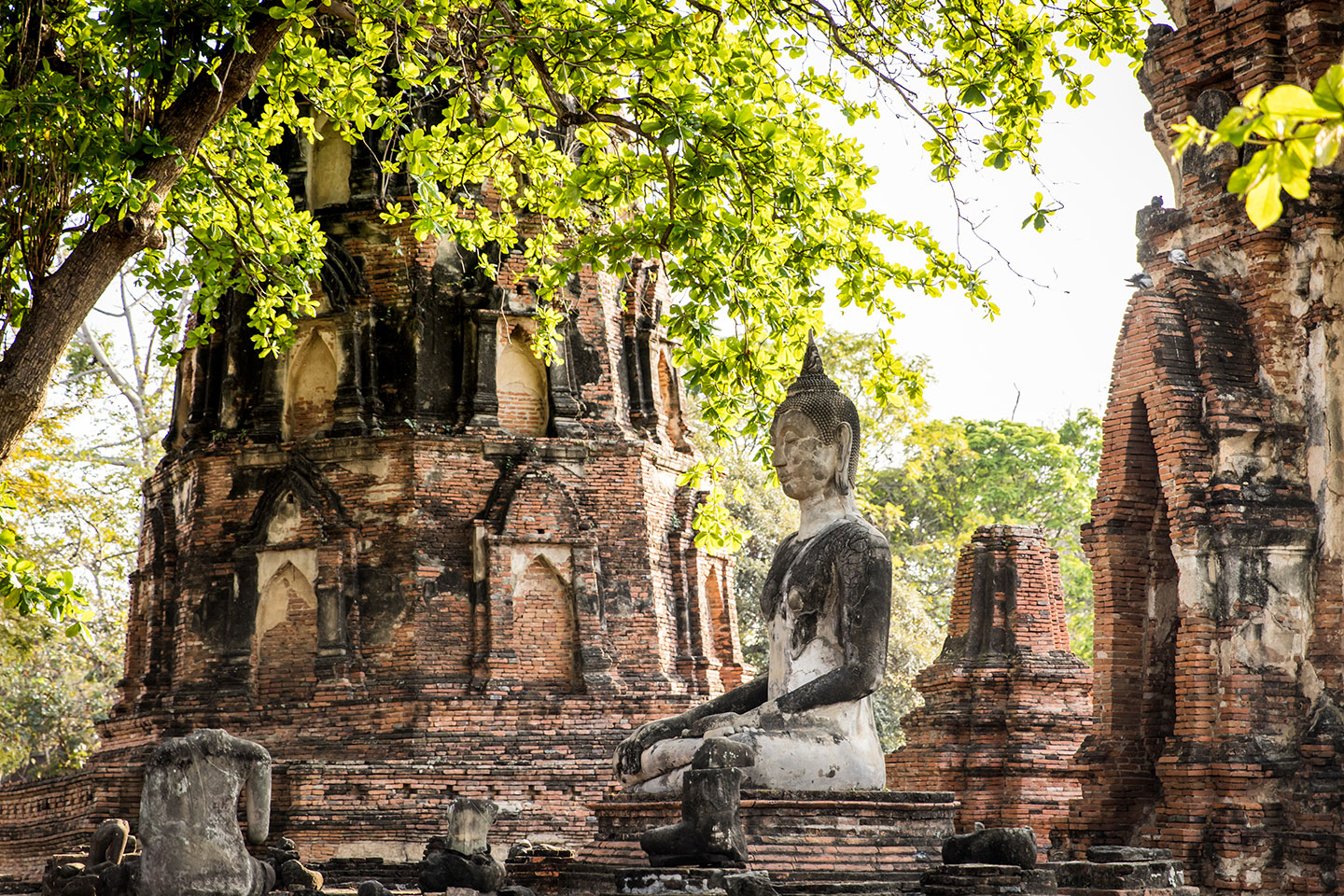 Wat Mahathat Big Buddha statue in Wat Mahathat temple