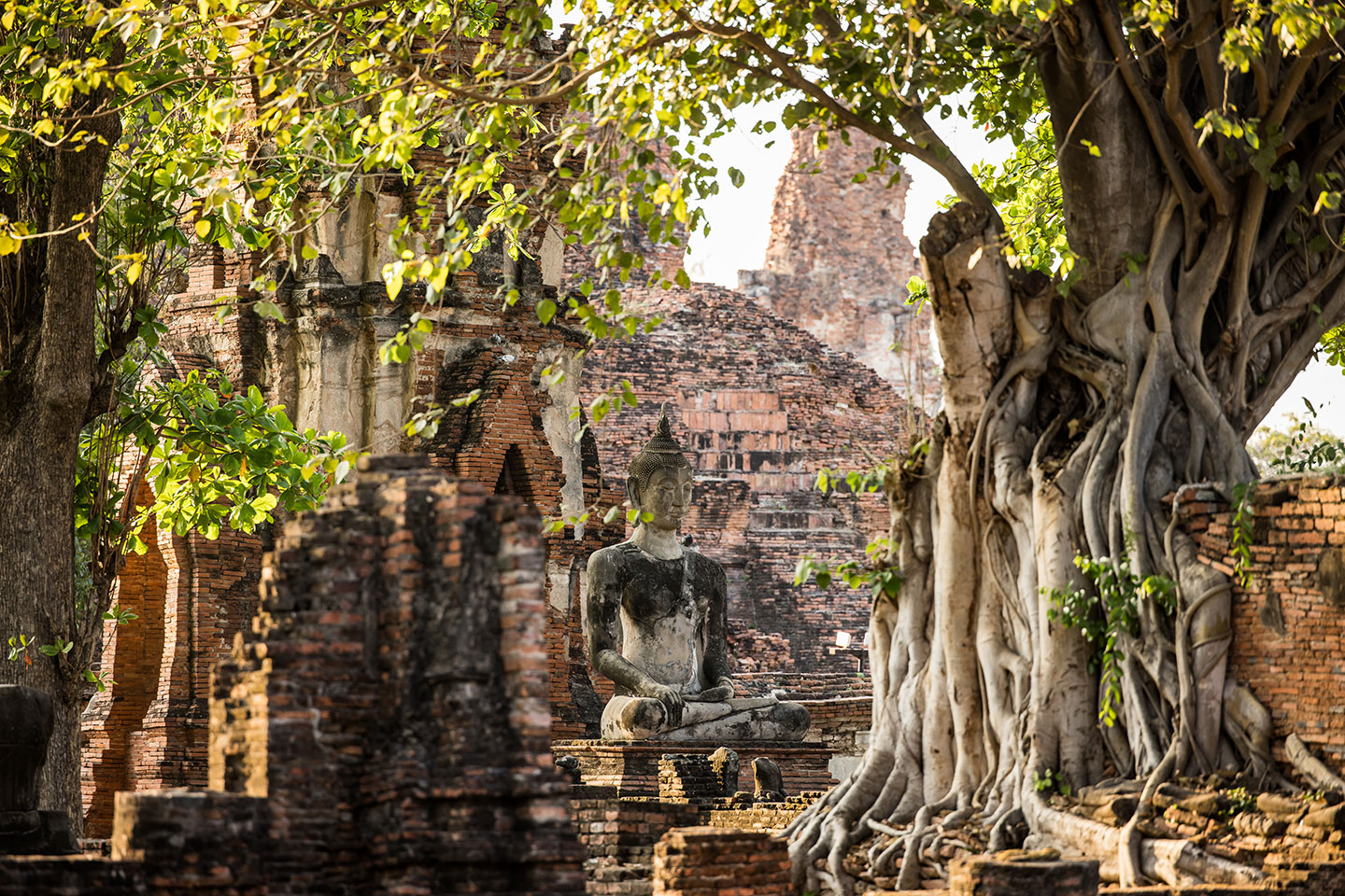 Wat Mahathat Ancient temple of Wat Mahathat in Ayutthaya, Thailand