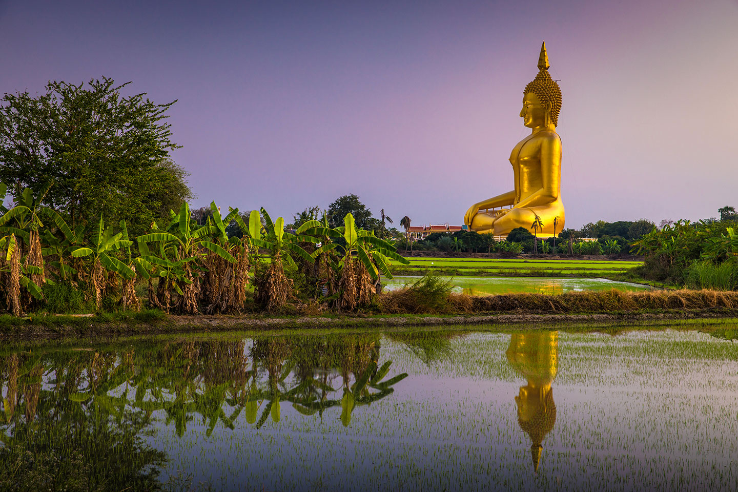 Wat Muang Buddha reflection in rice fields at Wat Muang